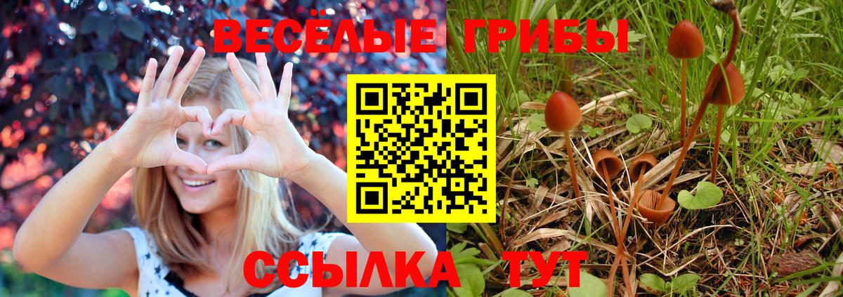 Карпинск  Галлюциногенные грибы MAGIC MUSHROOMS  наркота  Вход с VPN 